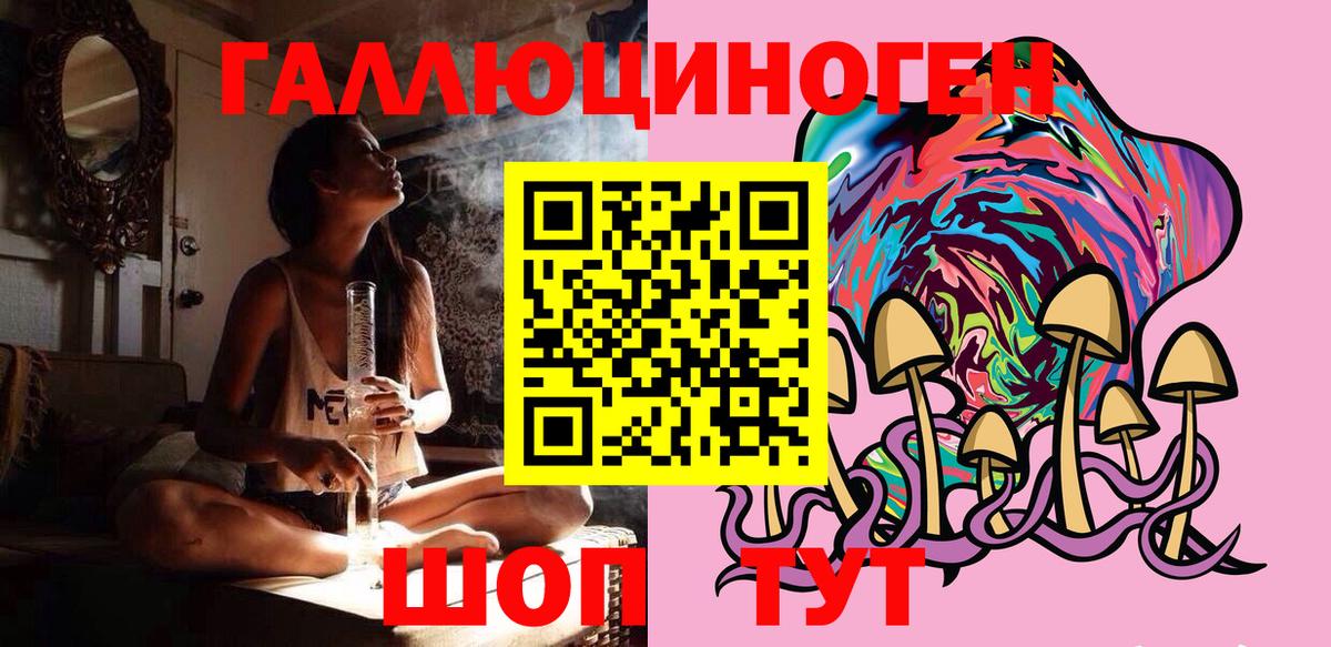 Псилоцибиновые грибы Cubensis  Вход с VPN  Славянск-на-Кубани 